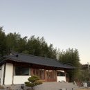 청도대나무숲하우스 | 대구 근교 여행 청도 숙소 추천 수야스테이 내돈내산 후기