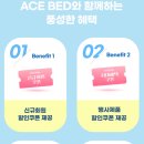 여름맞이 신혼부부를 위한 에이스침대 프레임 매트리스 추천