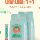 내몸애홍삼