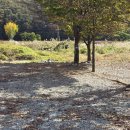 파랑새주유소 이미지