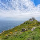 HOSTEL THE CAMINO 이미지