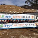 김진만농장 이미지