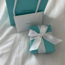 티파니앤코 실버목걸이 엘사퍼레티 빈디자인 목걸이 내돈내산 후기