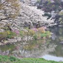 봄나들이 미술관투어 이미지