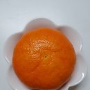 신애식품