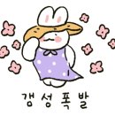 세이헤어샵