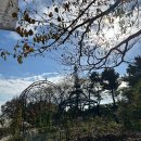 안성파크 이미지