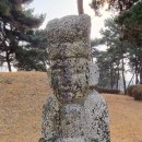 신면공 영광정씨정부인 화관비 이미지