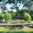 부평둘레길 이미지