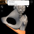 즐거운피티샵(개봉점) 이미지