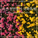 송이치킨 | 익산 천만송이 국화축제 개화현황 핑크뮬리 먹거리 주차 꿀팁 후기