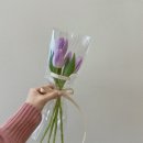 꽃해요 이미지