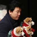 (합) 동아 이미지