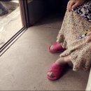 출렁다리 민박 이미지