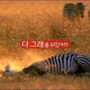 (주)그래오늘은