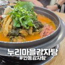 누리마을감자탕 죽곡점 | [경북/안동] "누리마을감자탕" 묵은지감자탕 먹고 온 후기