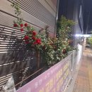 상동139카센타 이미지