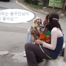 짱구 짱아 애견샵 이미지