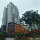 곽소아청소년과의원 이미지