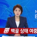 백골 티브이데일리