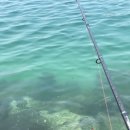 신항민박 이미지