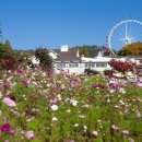 에버랜드 이미지