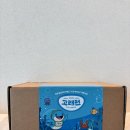 성남둔치 | 2025 쿠쿠 에코웨일 고래런 환경을 지키는 착한 러닝 마라톤 캠페인 참여 후기