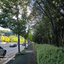 성남대로 이미지