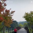 혁신체육공원 축구장 이미지