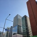 을-180 | 서울여행 필수 코스, 밤에 더 화려한 강남역 놀거리 맛집 타코벨 솔직 후기!