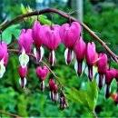 거여초교병설유치원 이미지