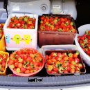 은비네농장 이미지