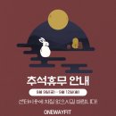 원웨이핏 이미지