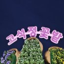 하반기 열린학습관 이미지