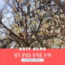 동적골산책로 공중화장실 | 광주 가볼 만한 곳 광주 운림동 동적골 산책로 매화꽃 구경하기 광주 무등산 동적골 둘레길