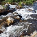 PARROT KOREA 이미지