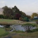 비전힐스 골프연습장 이미지