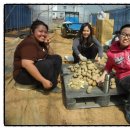 궁평농장 이미지