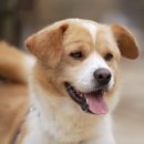 강림농장 이미지