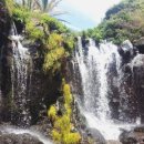 제주 서귀포 정방폭포 이미지