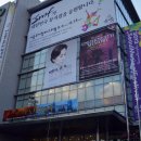 예그린케이스