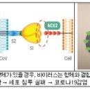 (주)셀트리온
