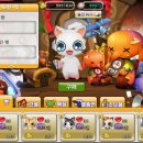 펫아일랜드2 이미지