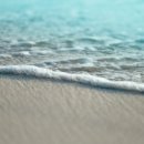 더채운하우스 이미지