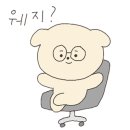 깔끔이 스팀세차 이미지