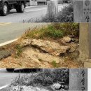 상정리마을회관 이미지