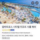 이집트 신혼여행 카이로 후루가다 나일강크루즈 1월 여행준비 2주 13박14일 항공권 숙박 투어 여행자...