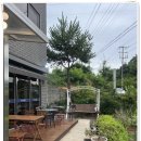 해솔조경 | 인천 영흥도 맛집 내돈내산 해솔뜰 솔직 후기