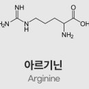 하이퀄짐 네이버블로그