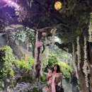 동산프라자(동산상가) | 대한항공 기내식 변경 / 서안로 야시장 / 루즈벨트플라자 / 성해광장 레이저쇼 시간 최신 / 시딩 성게만두